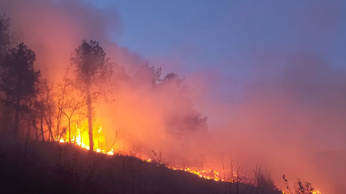 Hatay’da çıkan orman yangını kontrol altına alındı