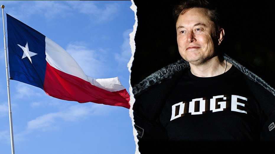 Texas poised to create its own version of DOGE as bill passes both chambers