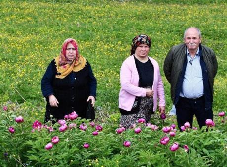 Dokunmak yasak! Bedeli yarım milyon