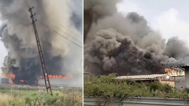 Mersin’de pamuk deposunda yangın: Müdahale ediliyor
