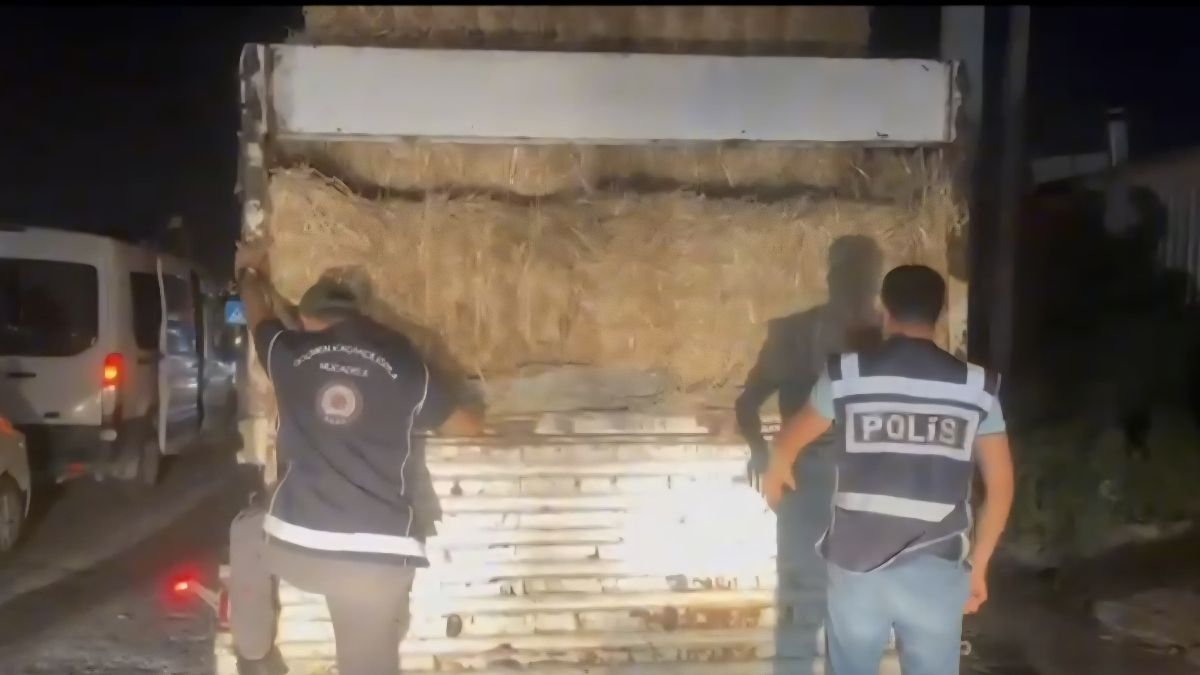 Hatay’da tırdaki saman balyaları arasında saklanan 31 düzensiz göçmen yakalandı