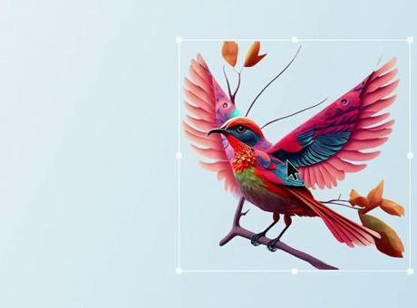 Adobe Firefly uygulaması iOS ve Android için çıktı