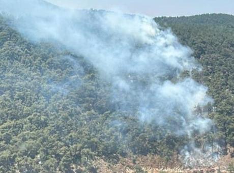 Son dakika… Türkiye alev alev! 4 ilde orman yangını: Müdahale devam ediyor