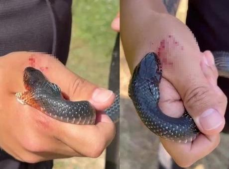 Hatay’da şoke eden olay! ‘Zararsız, öldürmeyin’ dediği yılan tarafından ısırıldı