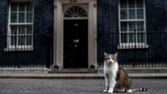 Cats ruled out as Parliamentary pest controllers