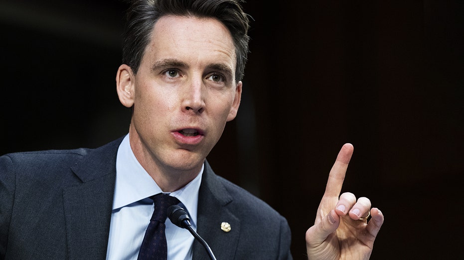 ‘It’s wrong’: Hawley warns Senate GOP not to boot Americans from Medicaid in Trump megabill