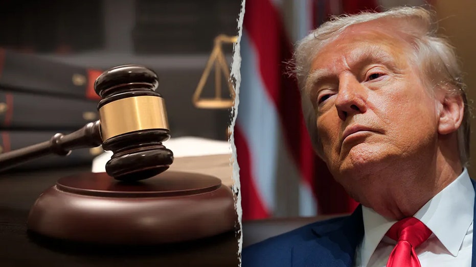 Federal judge halts Trump’s plan to cut funding for sanctuary states that refuse to cooperate