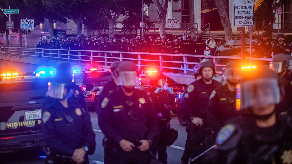 Left-wing advocacy groups in the hot seat as anti-ICE riots trigger investigation: ‘Not protected speech’