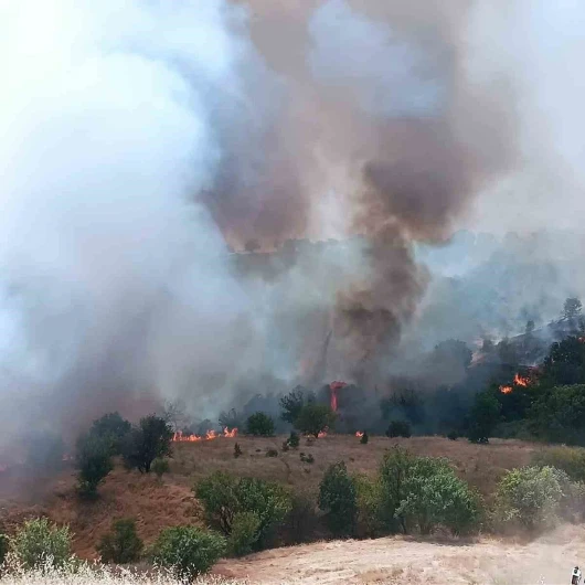 Malatya’da orman yangını söndürüldü
