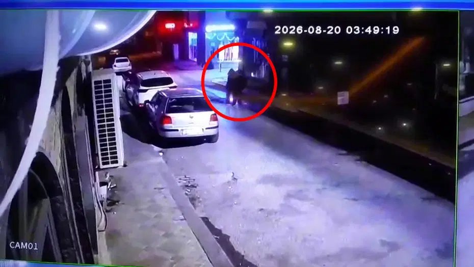 Üç kardeşin Darıca sahilinde gizemli ölümü. Tek renk giyinmişler, kol kola yürümüşler