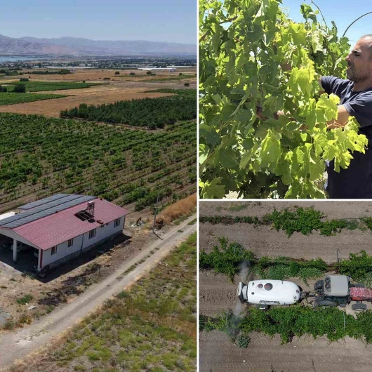 Memlekete döndü, baba mesleğini büyüttü: Almanya’yı bırakıp Elazığ’a geldi, 300 dönüm tarlada üretmeye başladı