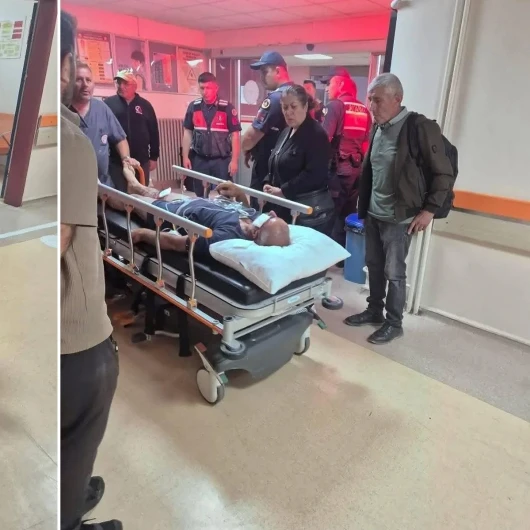 Ayı saldırısına uğrayan adam köpekleri sayesinde kurtuldu