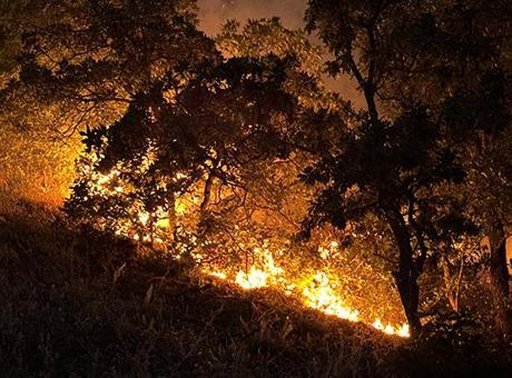 Tunceli’de korkutan yangın: Munzur Vadisi Milli Parkı’ndaki alevler kontrol altına alındı
