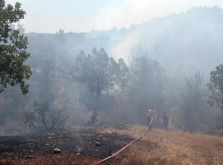 Bursa”da orman yangını! Alevlere, havadan ve karadan müdahale