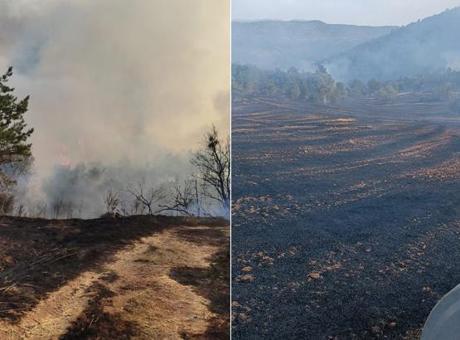 Bolu’da orman yangını! Havadan ve karadan müdahale başladı