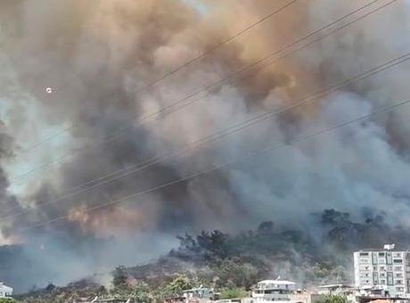 Kazdağları eteklerinde yangın! Dumanlar körfezden görülüyor