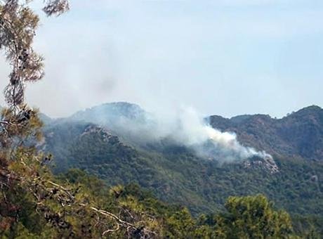 Antalya’da orman yangını! Havadan karadan müdahale