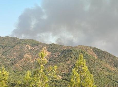 Manisa ve Marmaris’te orman yangını! Havadan ve karadan müdahale ediliyor