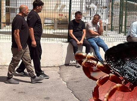 Bir ailenin kabusu oldu! İki kişi hayatını kaybetti