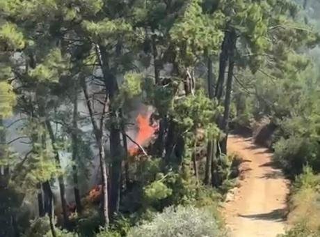 Muğla Fethiye’de orman yangını çıktı
