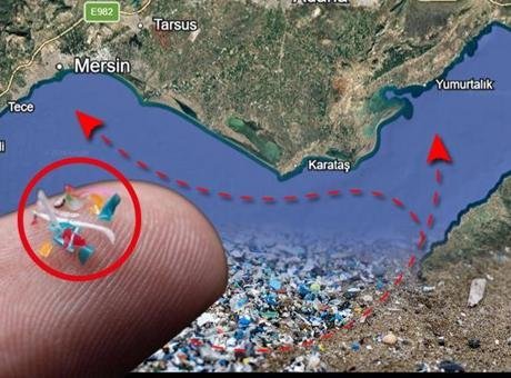 İl il eylem planı hazırlanıyor! Denizde sürüklenip Mersin’e ulaşıyor: ‘Adana’da güzellik konuşulmalı’
