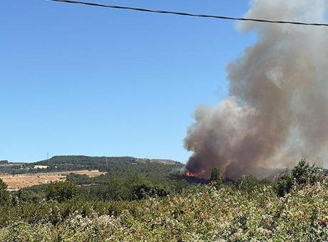 Çanakkale’de tarım arazisinde yangın! Müdahale ediliyor