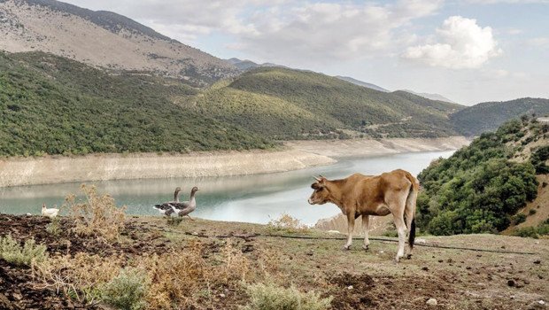 Yunanistan bunu hep yapıyor… Haksız yardım miktarı sanılandan büyük olabilir