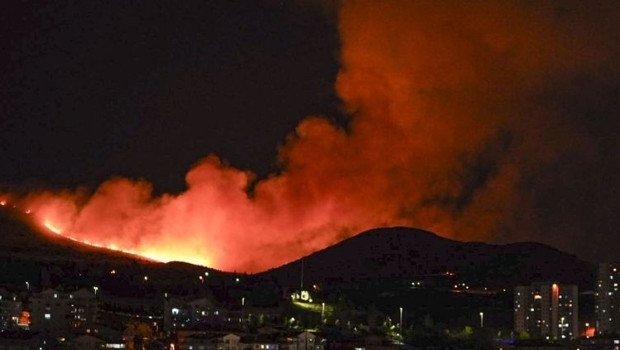 Başkentte ağaçlık alanda yangın