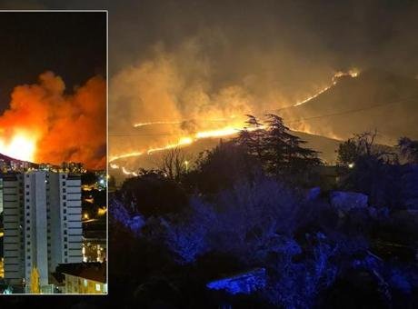 Ankara Mamak’ta ağaçlık alanda yangın! Ekipler müdahale ediyor
