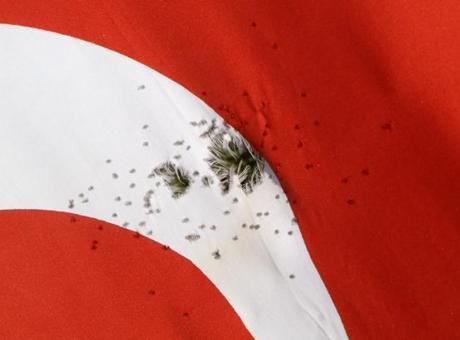 Burdur’da Türk bayrağına silahlı saldırı! Av tüfeğiyle ateş açıldı