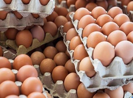 SON DAKİKA HABERLER: 306 kişi hastanelik oldu! Yumurtalarda korkutan alarm: ‘Tehlike sanılandan büyük, 8 ülkeye ulaştı’