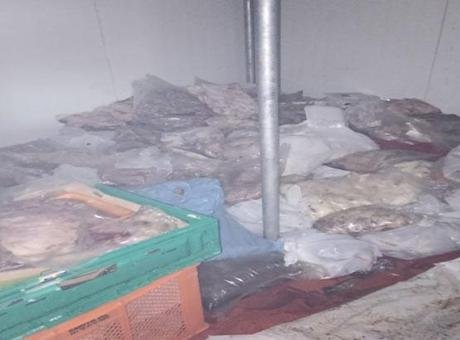 Bodrum’da kötü koku ekipleri harekete geçirdi! 400 kilo bozuk ete el konuldu