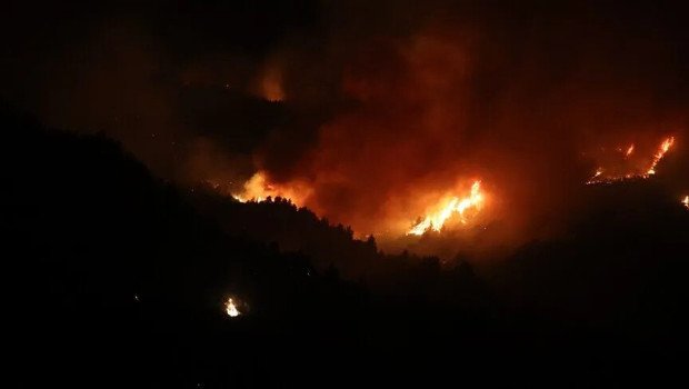 Cezayir’de çıkan orman yangınlarında 12 kişi hayatını kaybetti