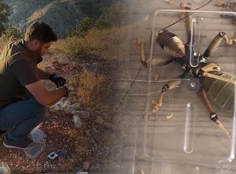 Nemrut’taki çekirgelerin peşindeki 2 yabancıyla ilgili dikkat çeken senaryo: Çok kötü bir şey bu
