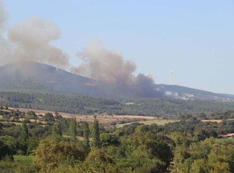 Çanakkale’de orman yangını! Havadan ve karadan müdahale ediliyor