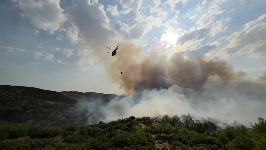 Manisa’da orman yangını. Havadan ve karadan müdahale sürüyor