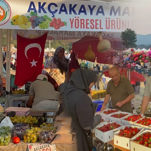Sakarya’da ‘4. Geleneksel Pamukova Çilek Festivali’ düzenlendi