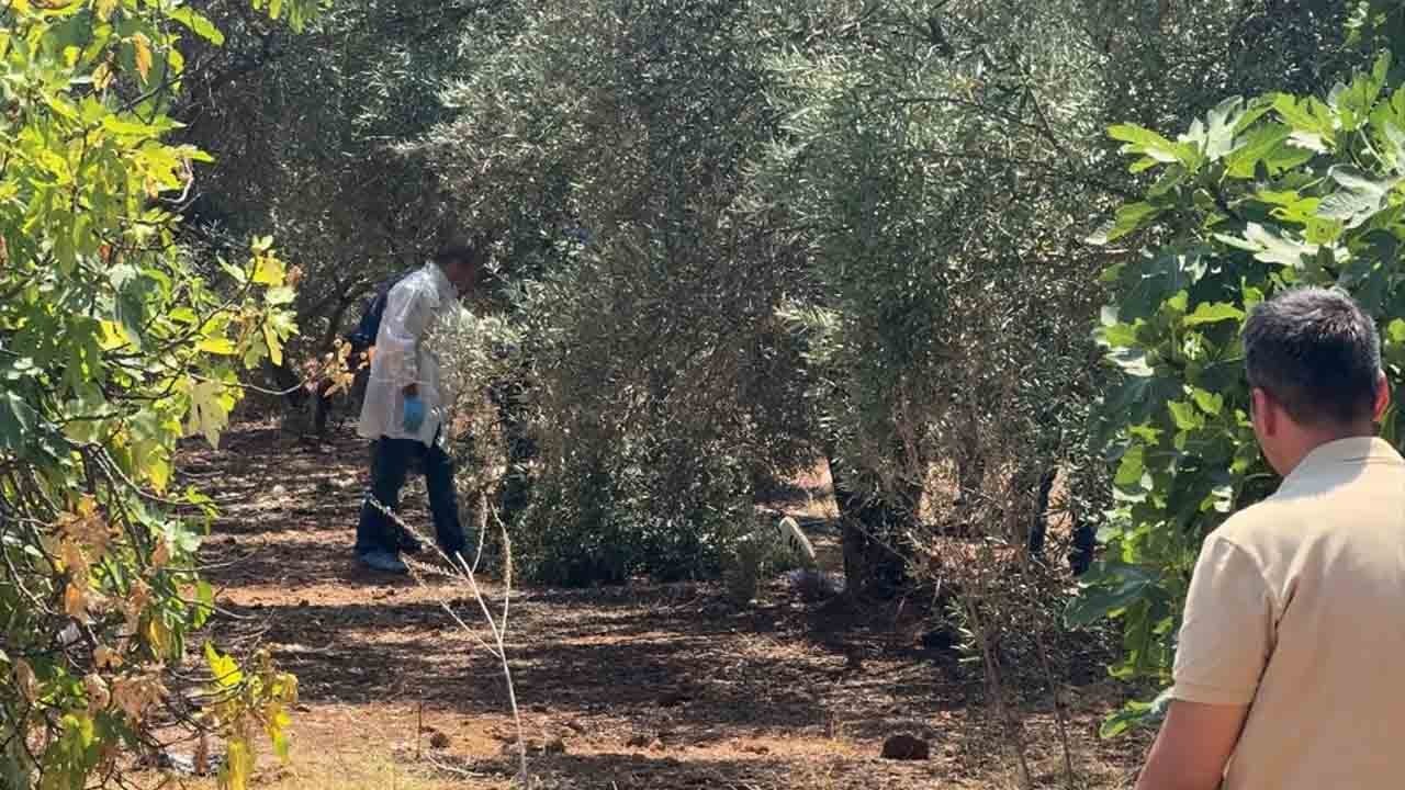 Antalya’da korkunç infaz: 25 yaşındaki genç zeytinlikte ölü bulundu