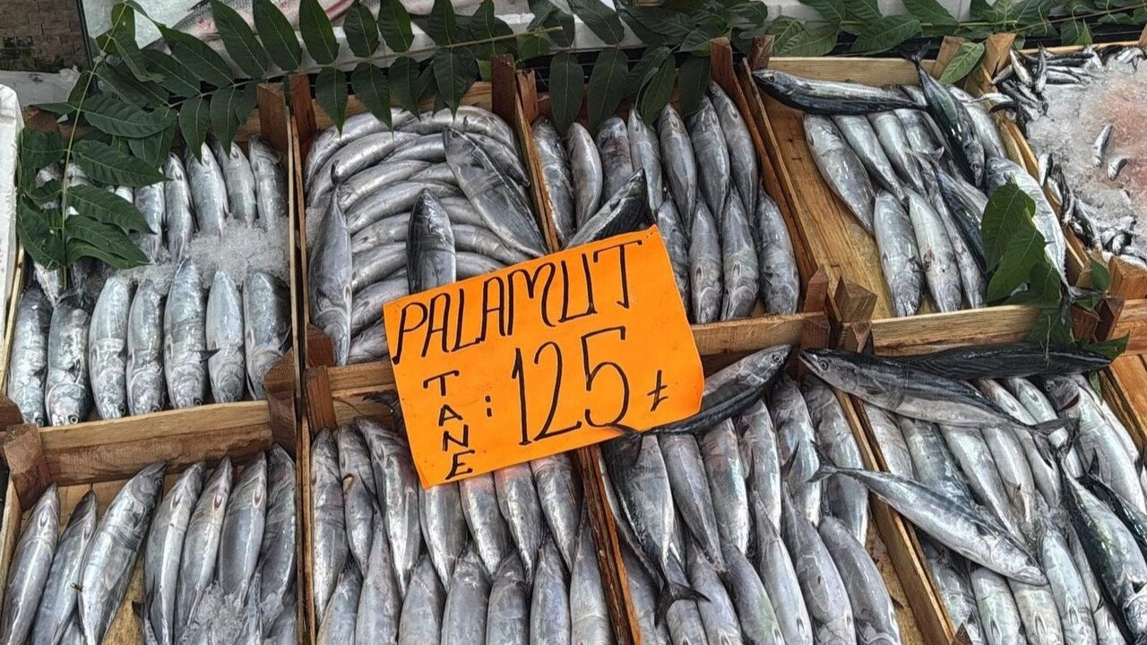 Palamut fiyatları düşüyor! Tanesi 125 lira