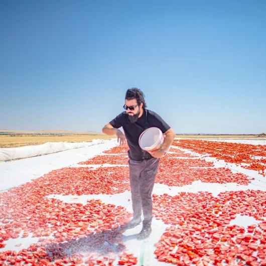 Güneşin altında bir dünya lezzeti: İtalyan pizzalarını, Amerikan burgerlerini lezzetlendiriyor
