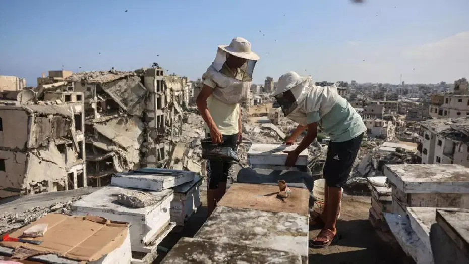 35 kovanıyla yıkıntıların arasında hayata tutunuyor
