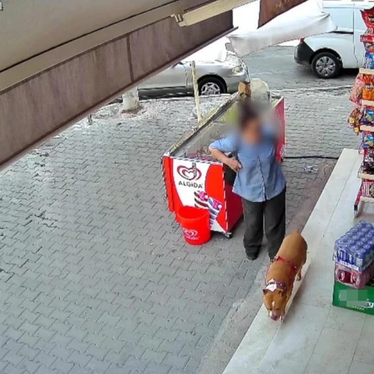 İzmir’de tasmasız pitbull dehşeti: Köpeğiyle yürüyüşe çıkan 5 çocuk annesinin parmağı koptu