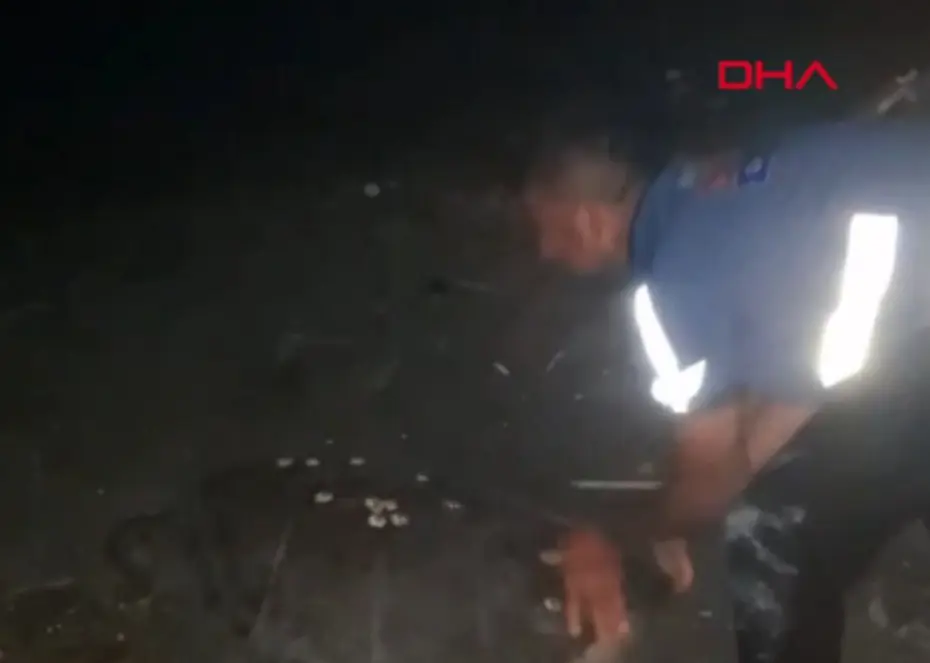 Sahilde yönünü şaşıran caretta carettayı vatandaşlar denize ulaştırdı