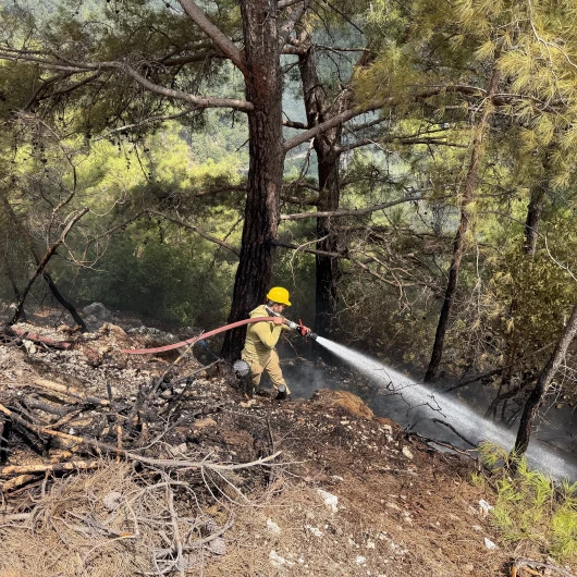 Alanya’da ormanlık alanda çıkan yangın söndürüldü