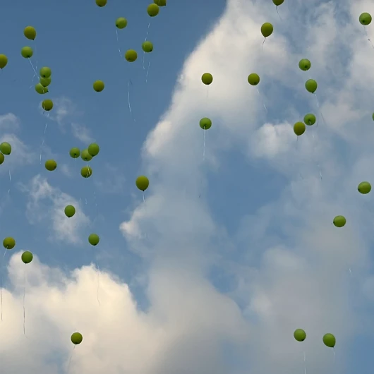 Tedavisi tamamlanan Göktuğ için gökyüzüne balonlar bırakıldı