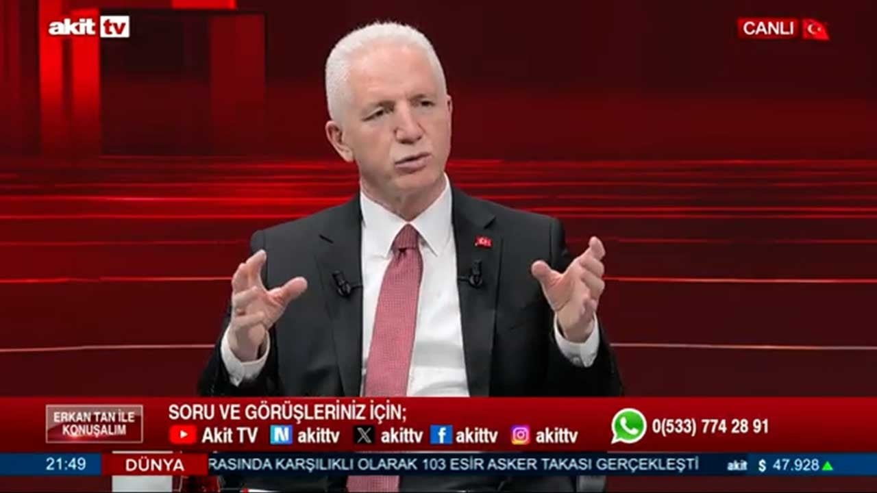 İstanbul Valisi Davut Gül: Sahipsiz hayvanların yüzde 84’ü toplandı
