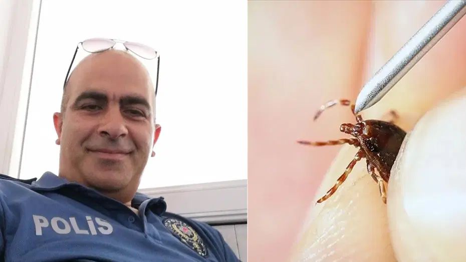 Kene bir can daha aldı