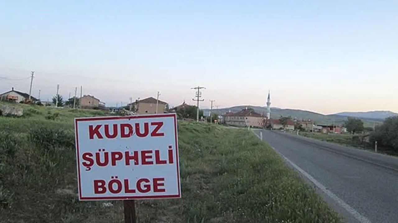 Ardahan’da kuduz vakası nedeniyle bir bölge karantinaya alındı