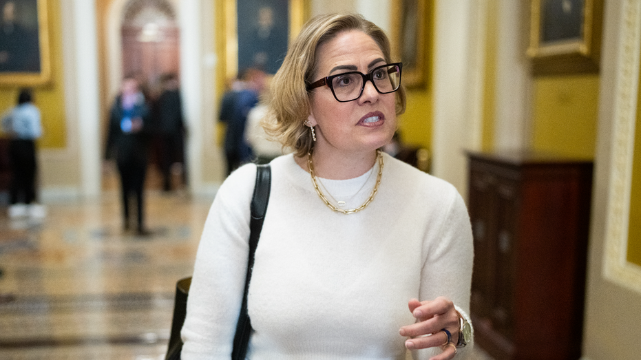 Court filings reveal Kyrsten Sinema had sex multiple times with married bodyguard while serving as senator