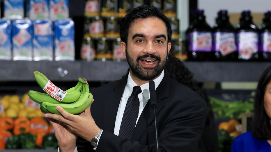 Grocer-turned-lawmaker says Mamdani’s government-run stores ‘might not even last a year’